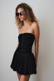 Audrey Sparkle Velvet Mini Dress