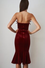 Althea Velvet Maxi Dress - Image 4